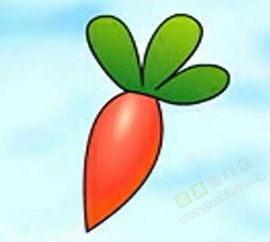 小萝卜视频,揭秘生活趣味,畅享欢乐时光