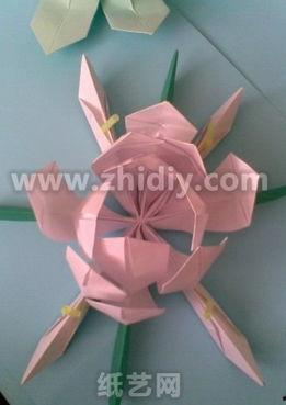 纸荷花制作视频,轻松打造立体荷花艺术品