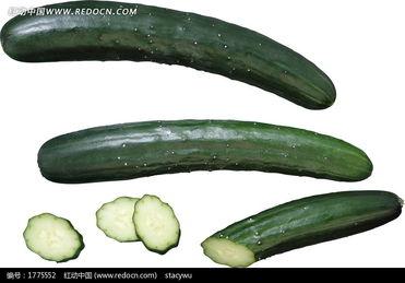 黄瓜切片视频,轻松掌握家常凉拌黄瓜技巧