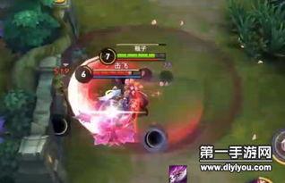 花木兰视频教学视频,从入门到精通的武术秘籍解析