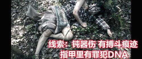 碎尸案件视频,视频揭露的恐怖真相