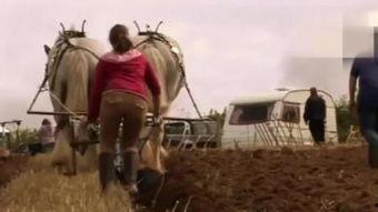 女人给马配种视频,一场跨越物种的浪漫邂逅