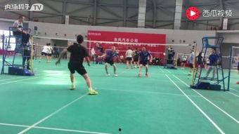 羽毛球裁判视频,羽毛球裁判视角下的精彩瞬间回顾